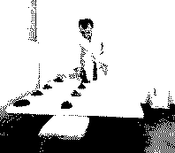 �[Plattenkleber auftragen]�